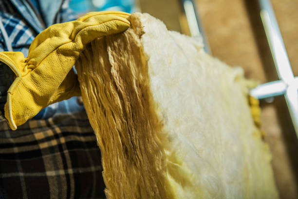 Best Cellulose Insulation in Baxter Springs, KS
